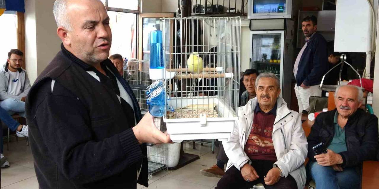 Kütahya’da Kuş Meraklıları Mezatta Buluşuyor