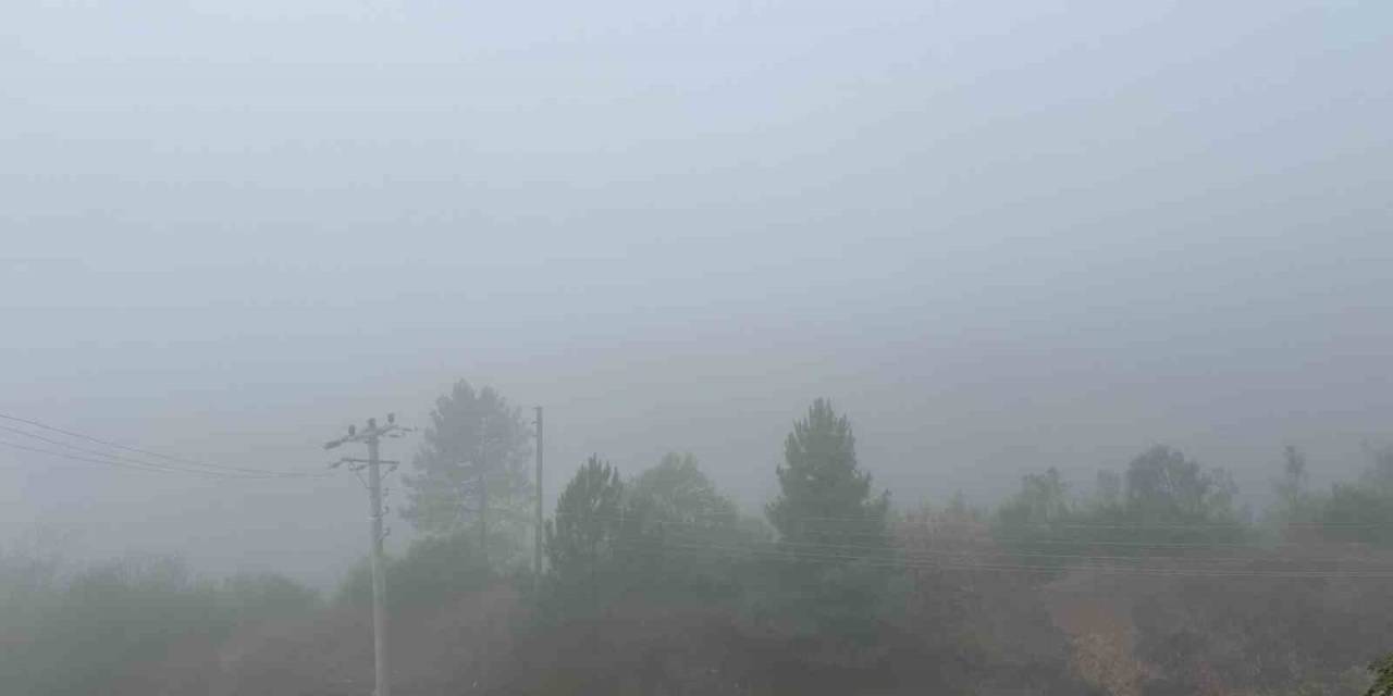 Kocaeli’de Sis Etkili Oluyor