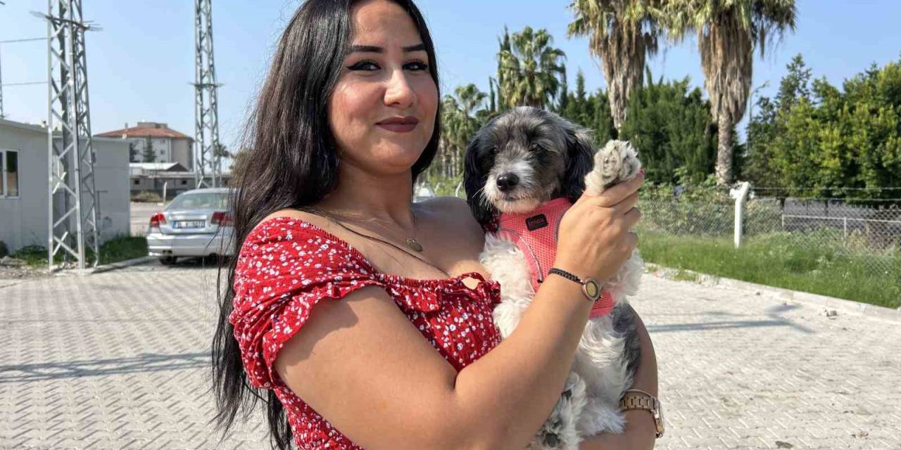 Aylardır Sahibine Ulaşılamayan Şila’nın Yeni Yuvası Depremzede Ailenin Konteyneri Oldu