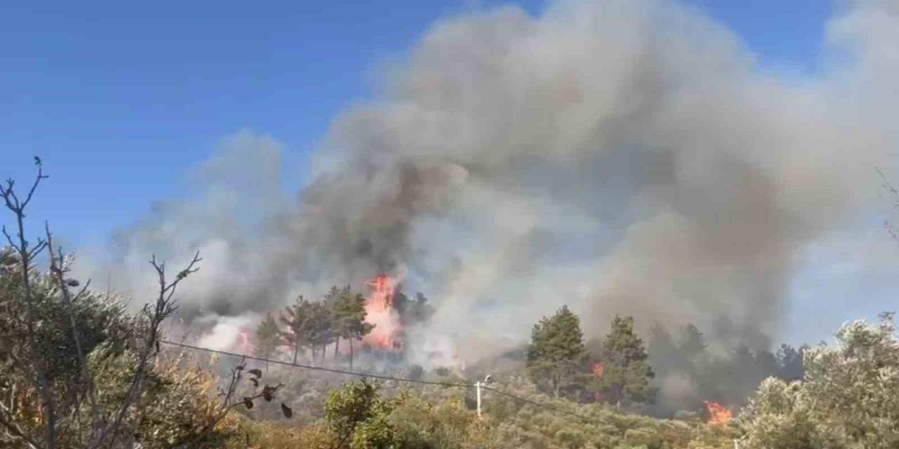 Menteşe’de Orman Yangını, Söndürme Çalışmaları Sürüyor