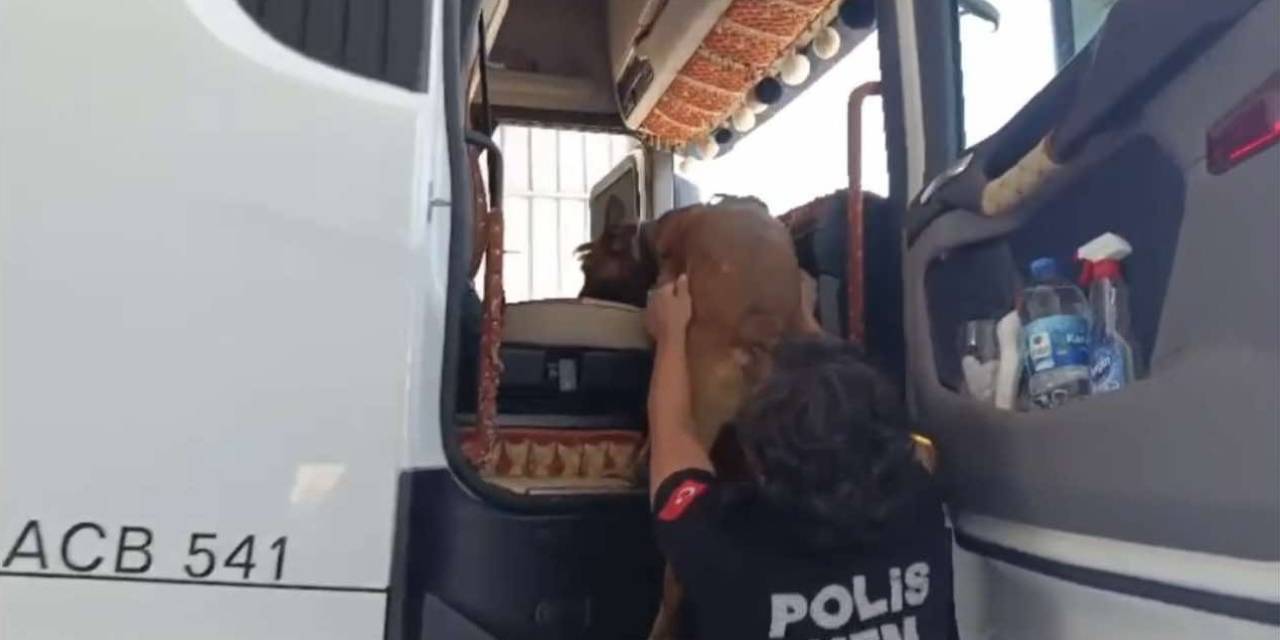 Osmaniye’de Uyuşturucu Operasyonu: 32 Tutuklama