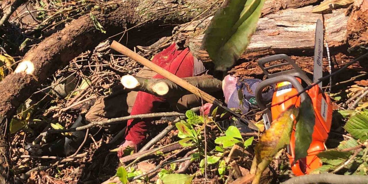 Artvin’de Kestiği Ağaç Üzerine Devrilen Adam Hayatını Kaybetti