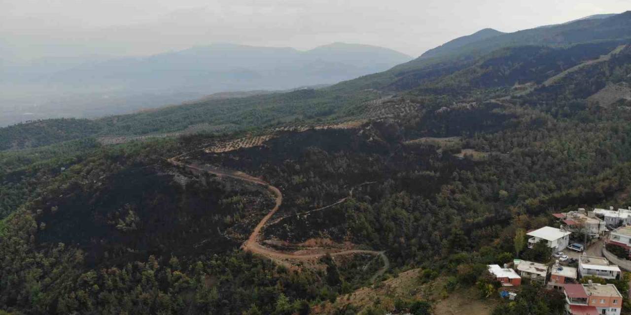 Orman Yangınında Küle Dönen Alan Drone İle Görüntülendi