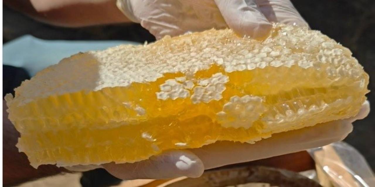 Pasinler Balı İçin Coğrafi İşaret Başvurusu