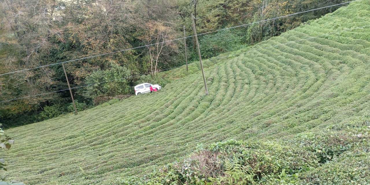 Rize'de araç çay bahçesine yuvarlandı