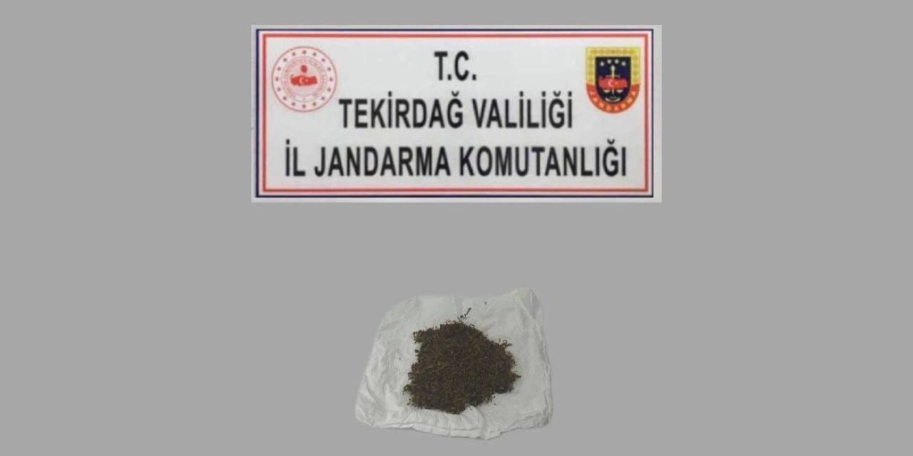 Tekirdağ’da Uyuşturucu Operasyonu: Bonzai, Esrar, Skunk Ve Sentetik Hap Ele Geçirildi