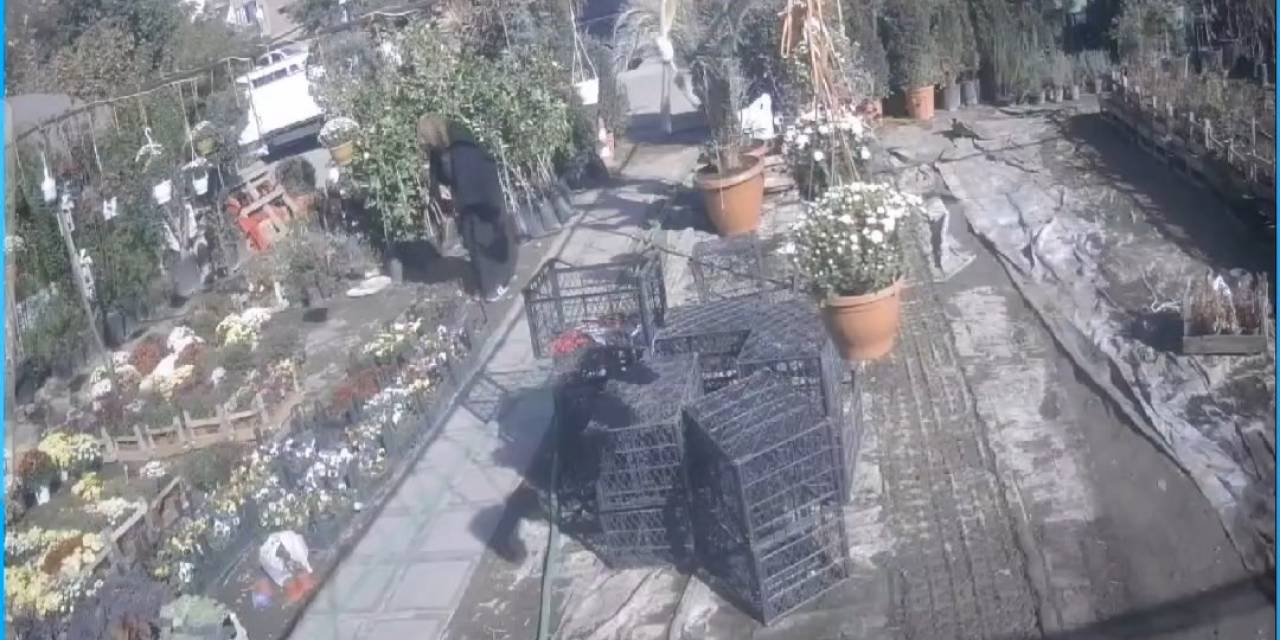 Önce İnceledi, Ardından Şalının Altına Koyup Kaçtı