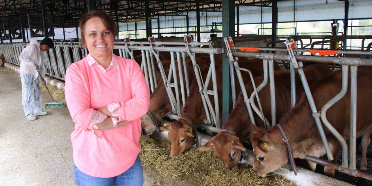 Şantiyeden Köyüne Dönüp Süt Çiftliği Kurdu: “Kızlarımla Mutlu Mesut Yaşıyoruz”