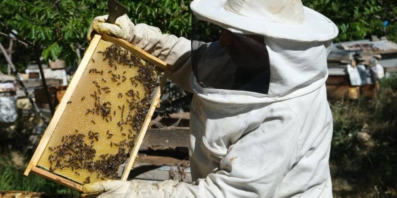 Bayburt’ta Arıların "Tatlı Uykusu" Başlıyor