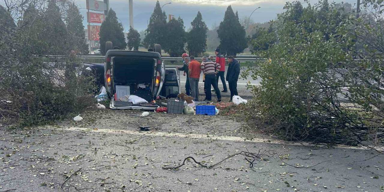 Otoyolda Kontrolden Çıkan Araç 3 Ağacı Biçti: 2 Yaralı