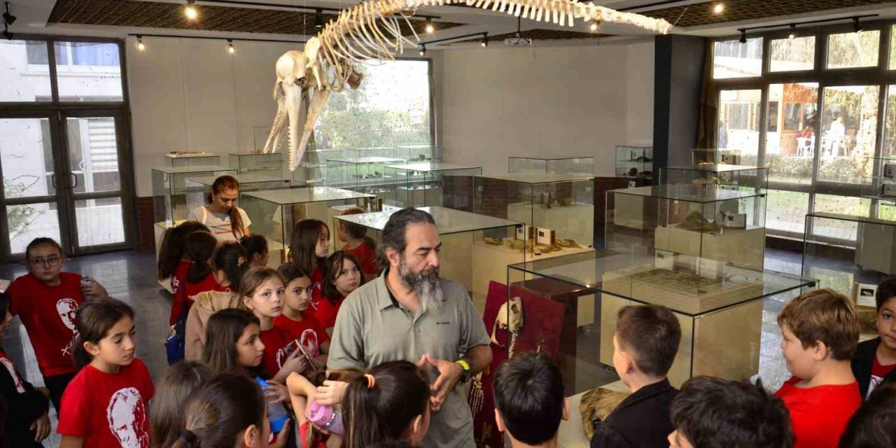 Öğrenciler Bu Müzede Deniz Canlılarıyla Tanışıyor