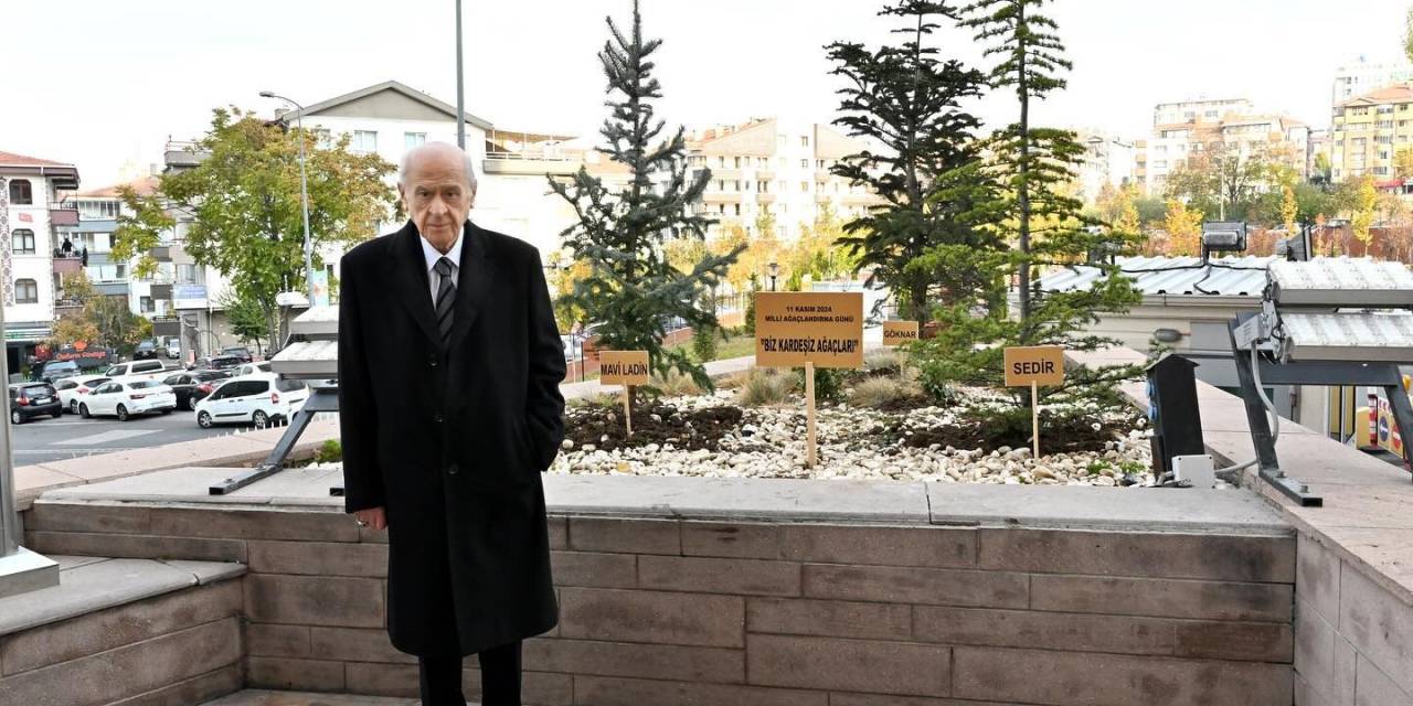 Mhp’den Dikkat Çeken Paylaşım: "Bahçeli Genel Merkez Önüne ‘Biz Kardeşiz Ağaçları’ Dikti"