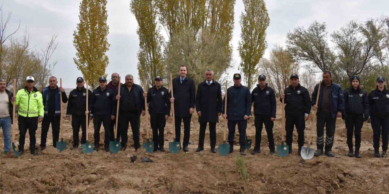 Evren’de Milli Ağaçlandırma Günü Dolayısıyla Fidan Dikildi