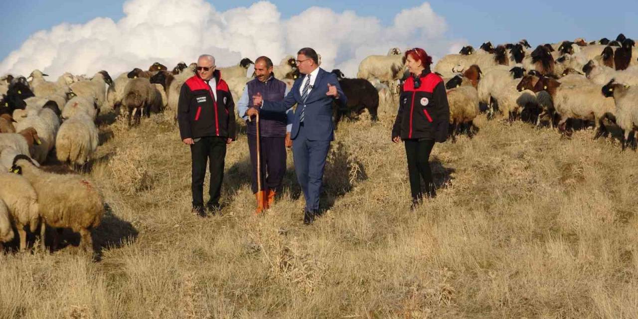 Van’ın Küçükbaş Hayvancılığına 200 Bin Koyunla Rekor Destek