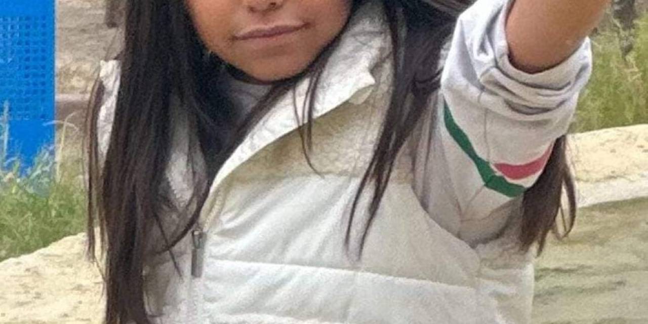 Üzerine Demir Kapı Düşen 8 Yaşındaki Asya Hayatını Kaybetti