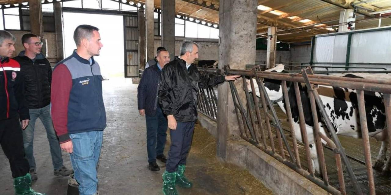 Edirne’de Ari Damızlık Hayvan Üretim Merkezi Yapılacak