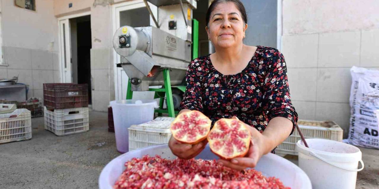 Büyükşehir Belediyesinden Üreticiye ’nar Taneleme Makinesi’ Desteği