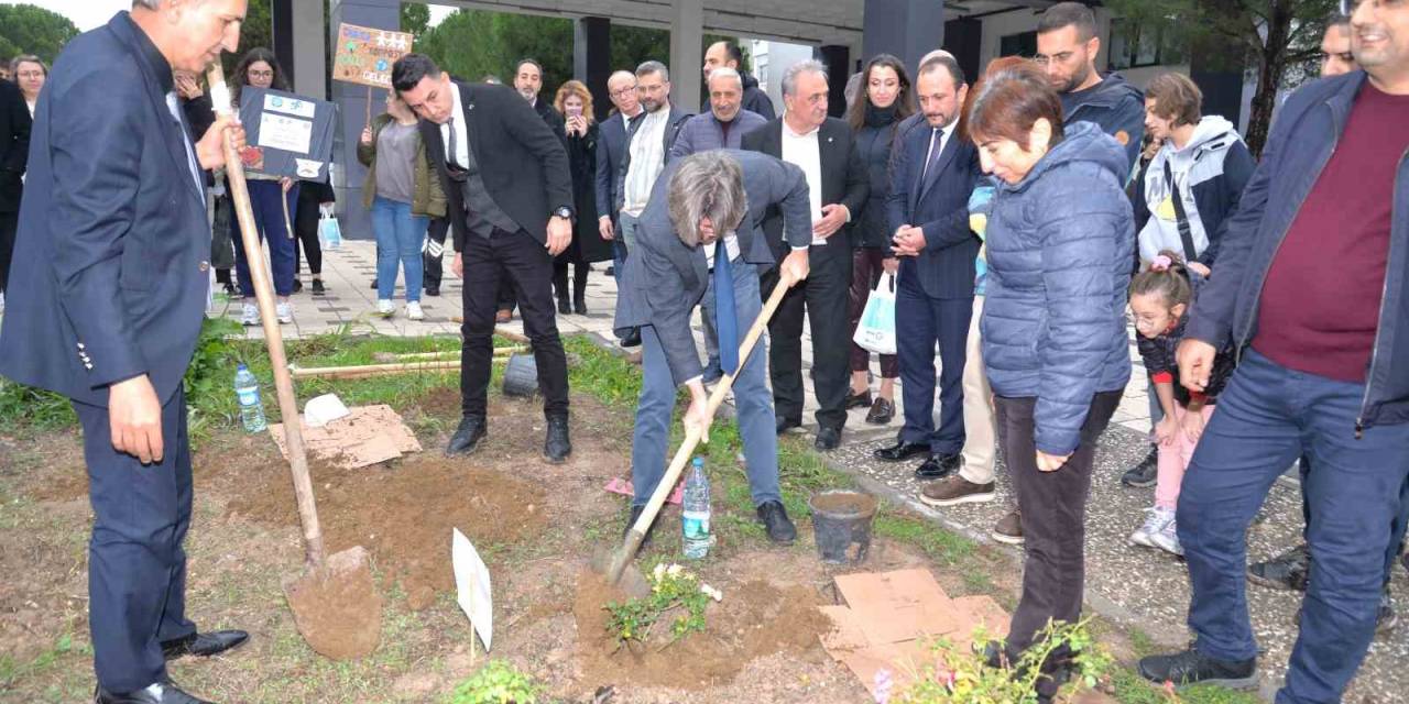 Buü’de Ağaçlandırma Çalışmaları Devam Ediyor