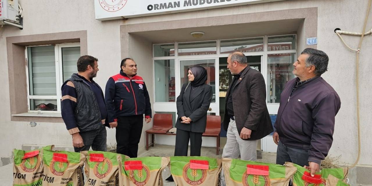 Çiftçilere Hibe Destekli Buğday Tohumu Dağıtıldı