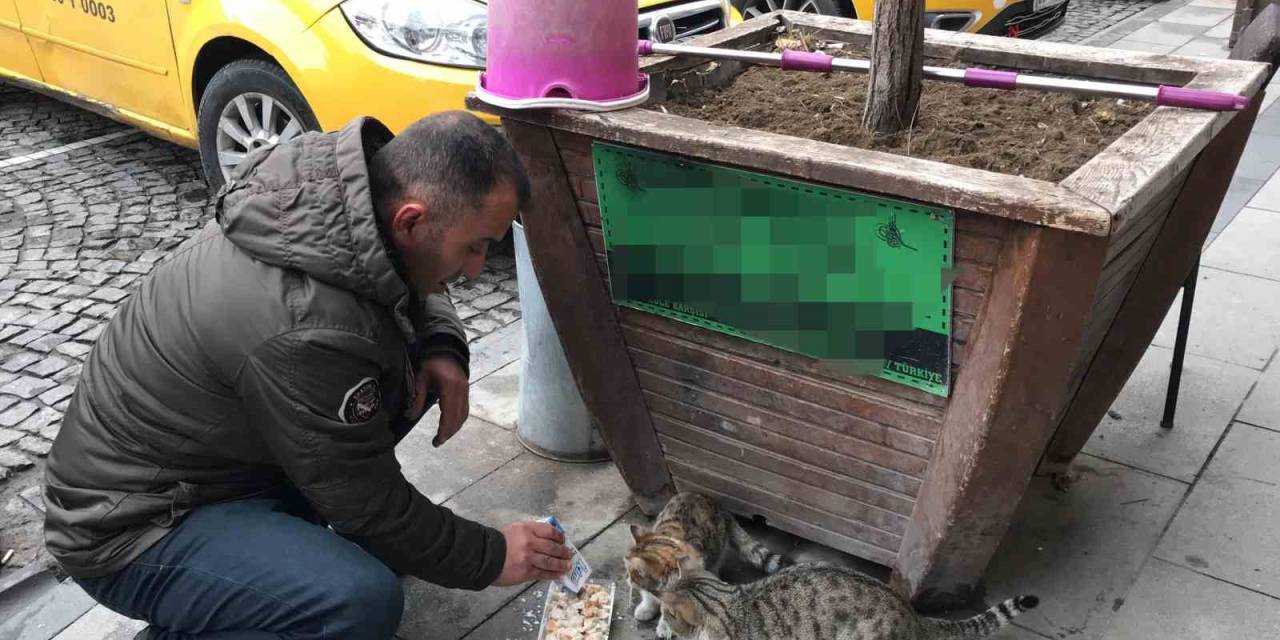 Bayburtlu Taksici Siftahı Kedileri Besleyerek Yapıyor