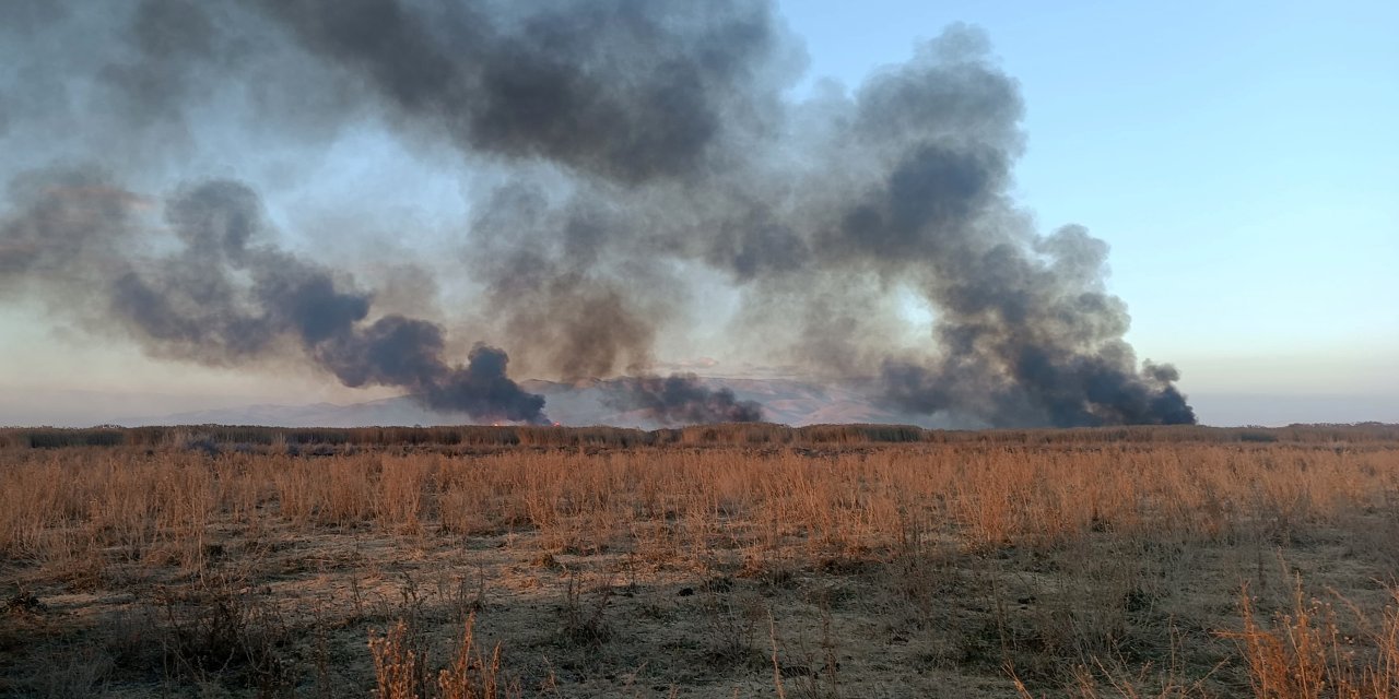 Eber Gölü'ndeki Yangın, Ekosistemi Ve Bölgede Yaşayanları Olumsuz Etkiledi