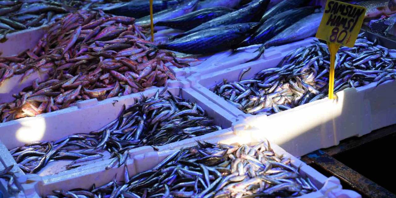 Fiyatı 80 Tl’ye Düşen Hamsi Kapış Kapış