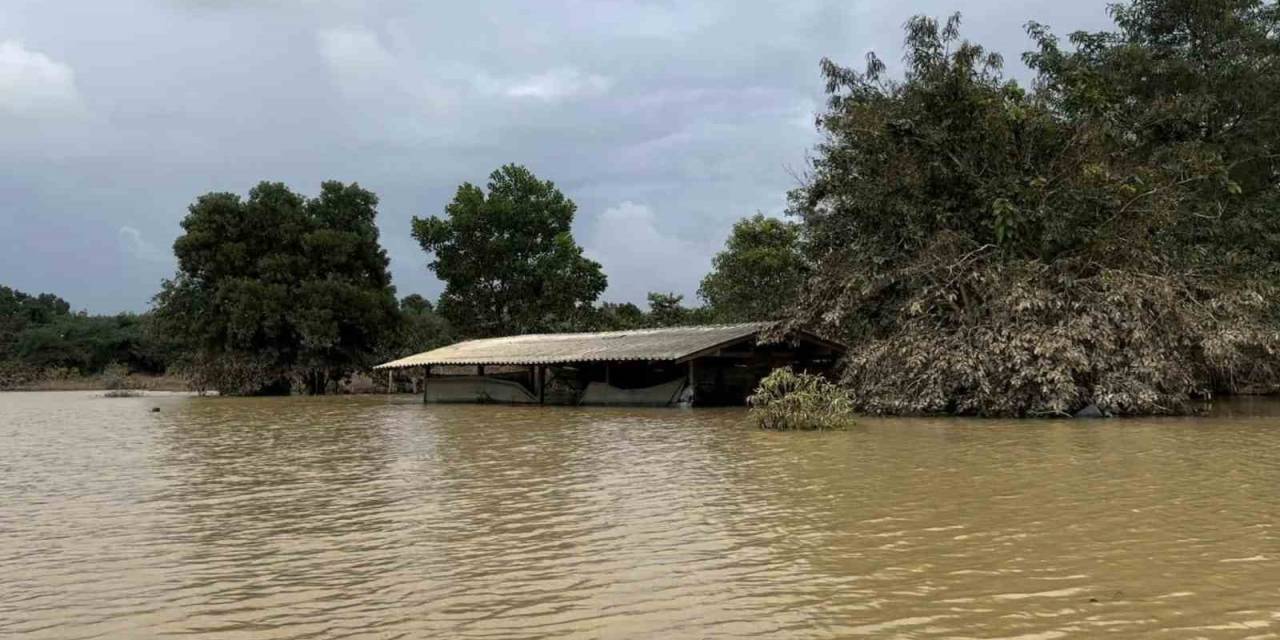 Tayland’ın Güneyindeki Selde Can Kaybı 25’e Yükseldi