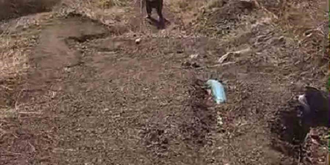 80 Yaşındaki Tayyibe Nine Kümesine Dadanan Tilkiyi Suçüstü Yakaladı