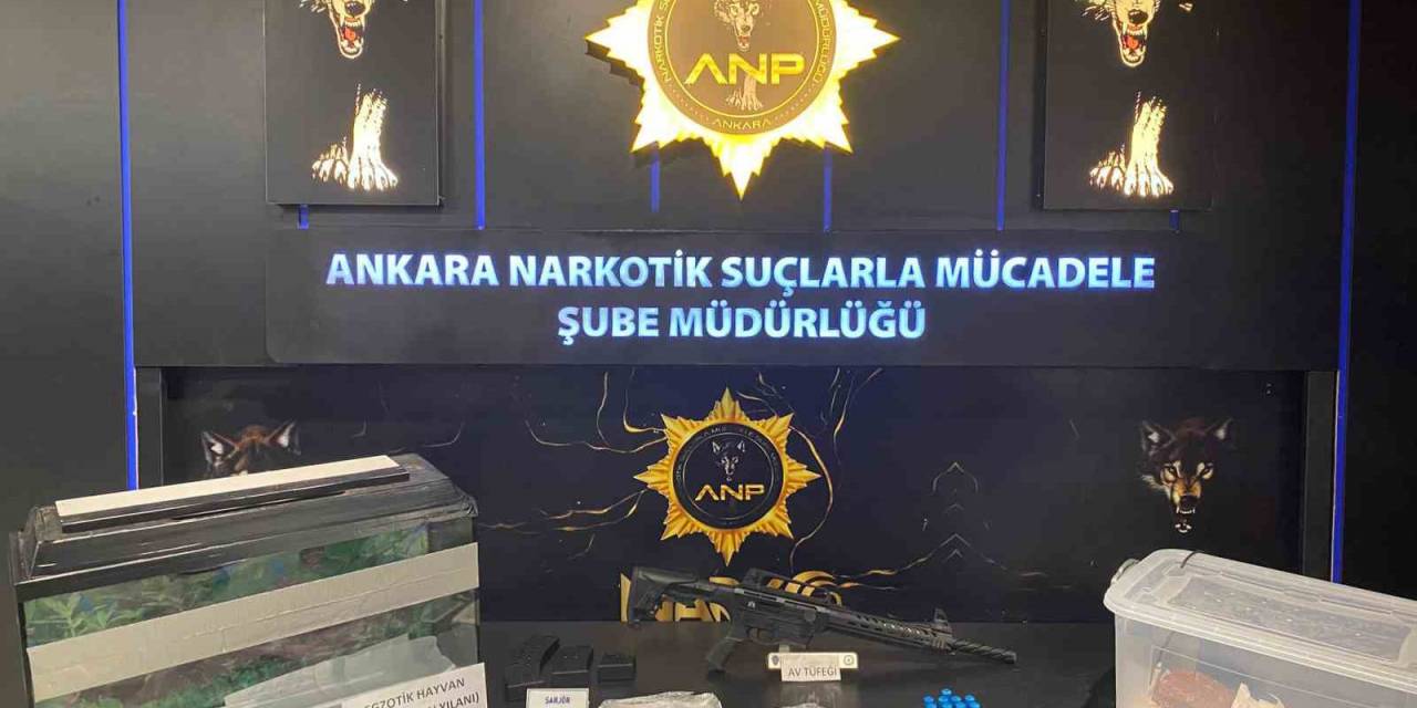 Narkogüç Operasyonları Kapsamında 1 Kişi Yakalandı