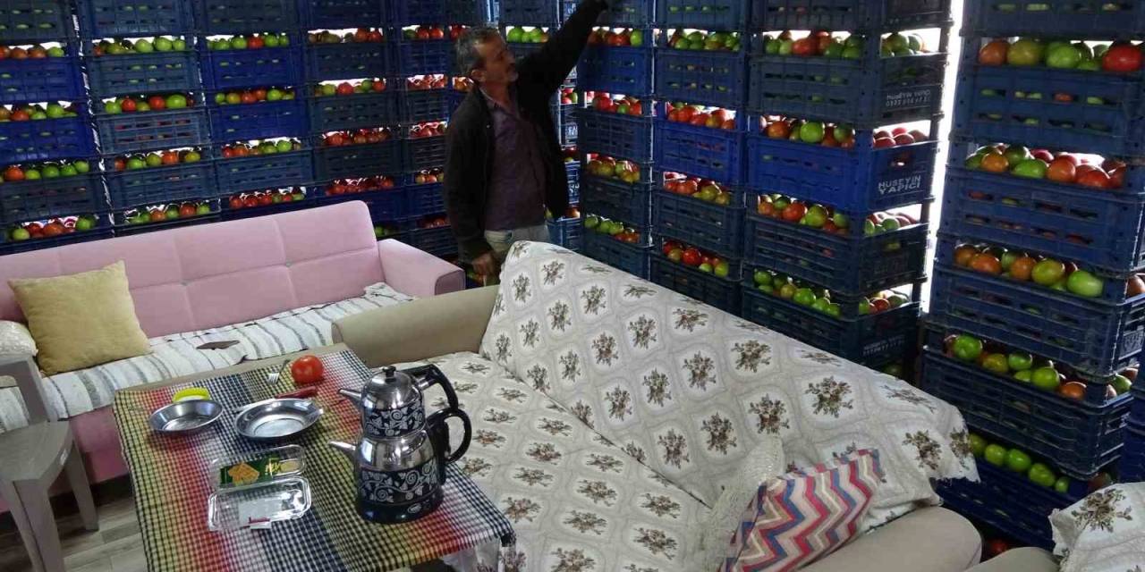 Yetiştirdiği Ürünle Gurur Duyan Üretici, 3 Ton Domatesi Evine Taşıdı
