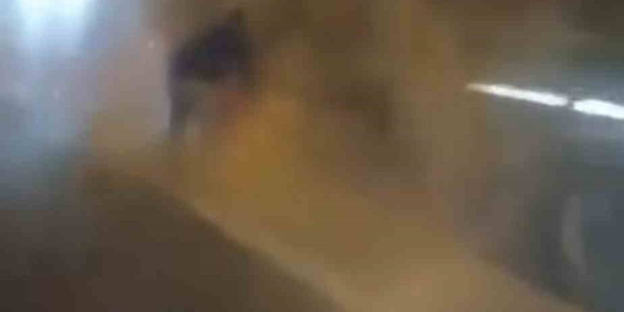 Lastiği Tutuşan Tırı Hızlı Müdahale İle Kül Olmaktan Kurtardılar