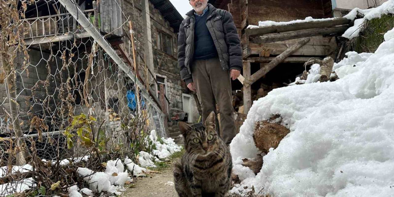 Artvin’de Mezrada Mahsur Kalan Kedileri İçin Karlı Yolları Aşarak Yiyecek Taşıyor