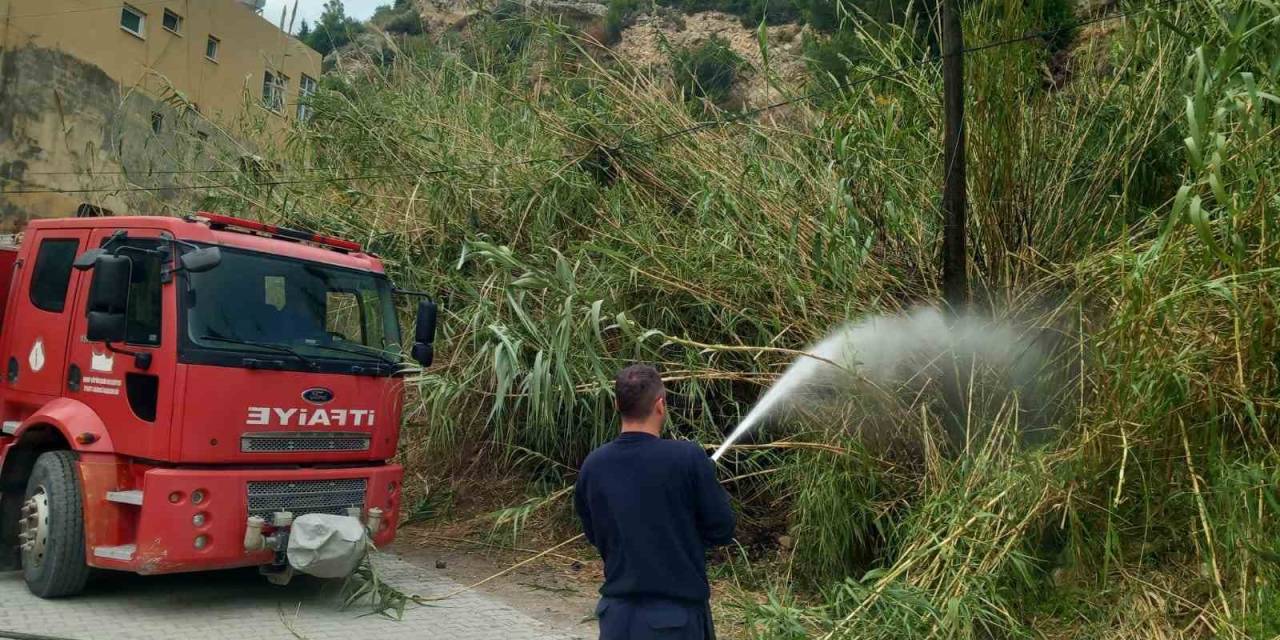 Samandağ’da Kamışlık Alanda Çıkan Yangın Söndürüldü