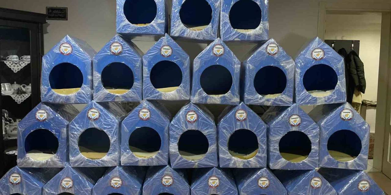 Gediz’de Sokak Hayvanları İçin Yuva