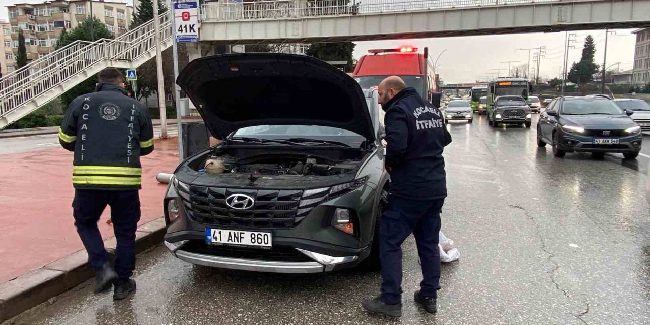 Motora Saklanan Kedi 13 Kilometre Yol Gitti