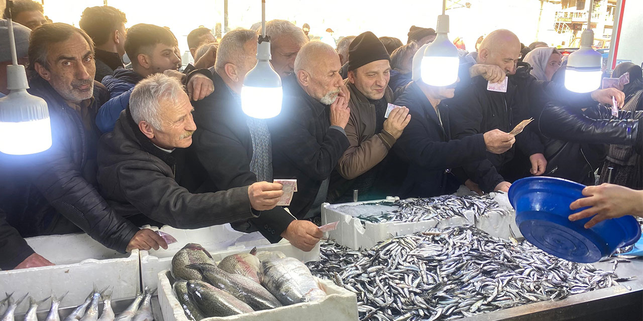 Hopa'da 30 liralık hamsiye yoğun ilgi