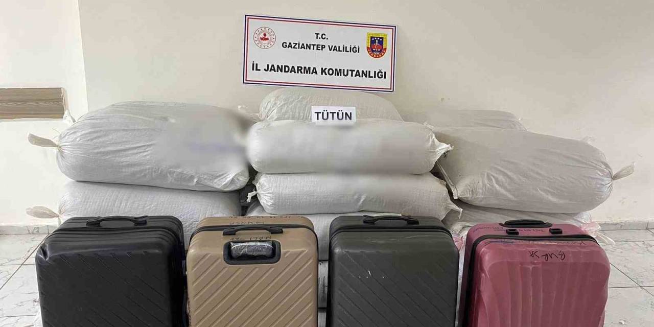 Gaziantep’te 1 Ton 750 Kilo Kaçak Tütün Ele Geçirildi