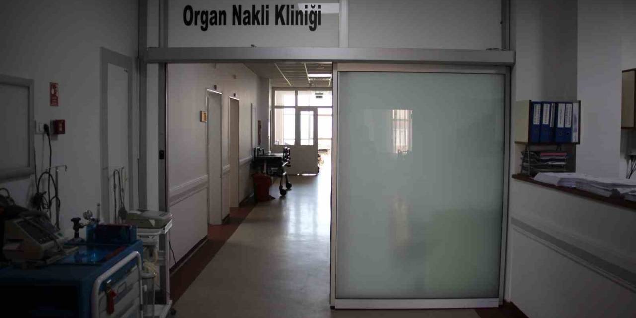 Aydın Adnan Menderes Üniversitesinde 24 Karaciğer Ve 12 Böbrek Sahte Belgeyle Nakledilmiş