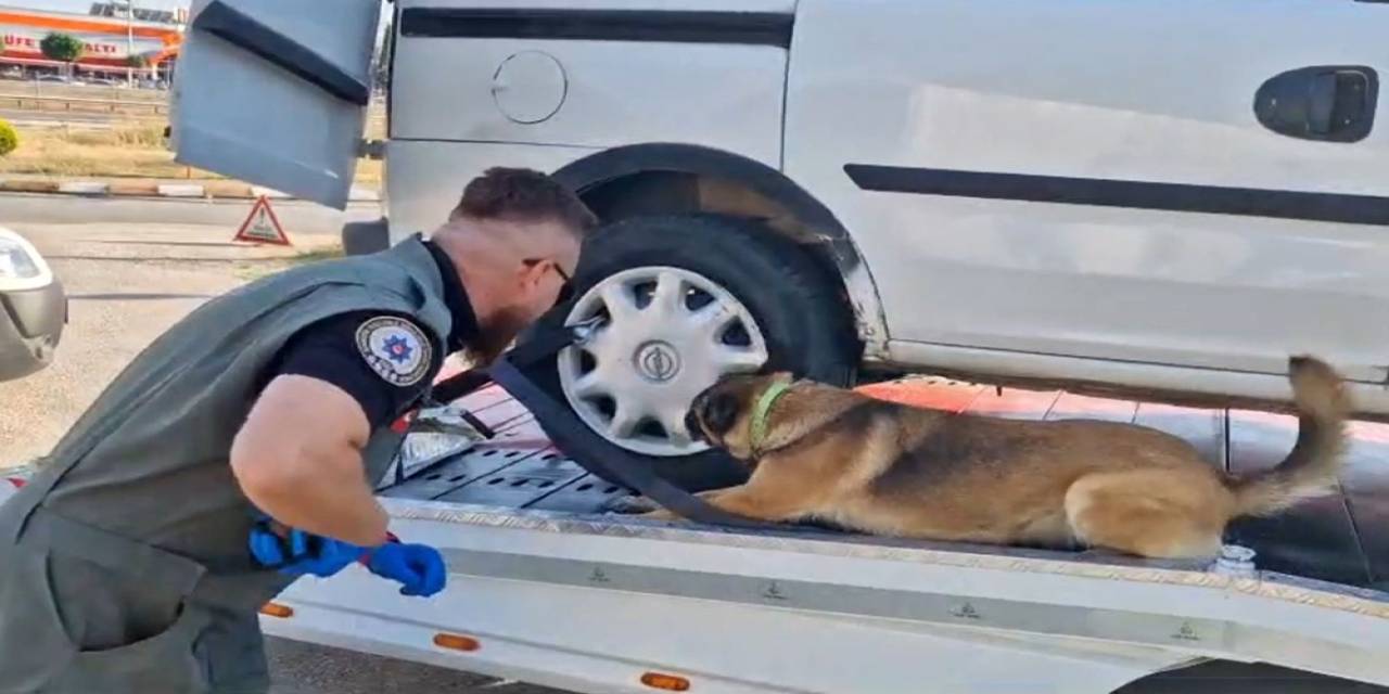 Bolu’da Uyuşturucuya 9 Operasyon Yapıldı