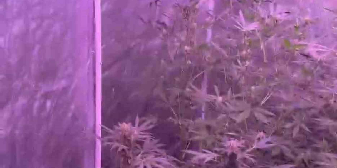 Bandırma’da Uyuşturucu İmalathanesine Baskın: 1 Gözaltı