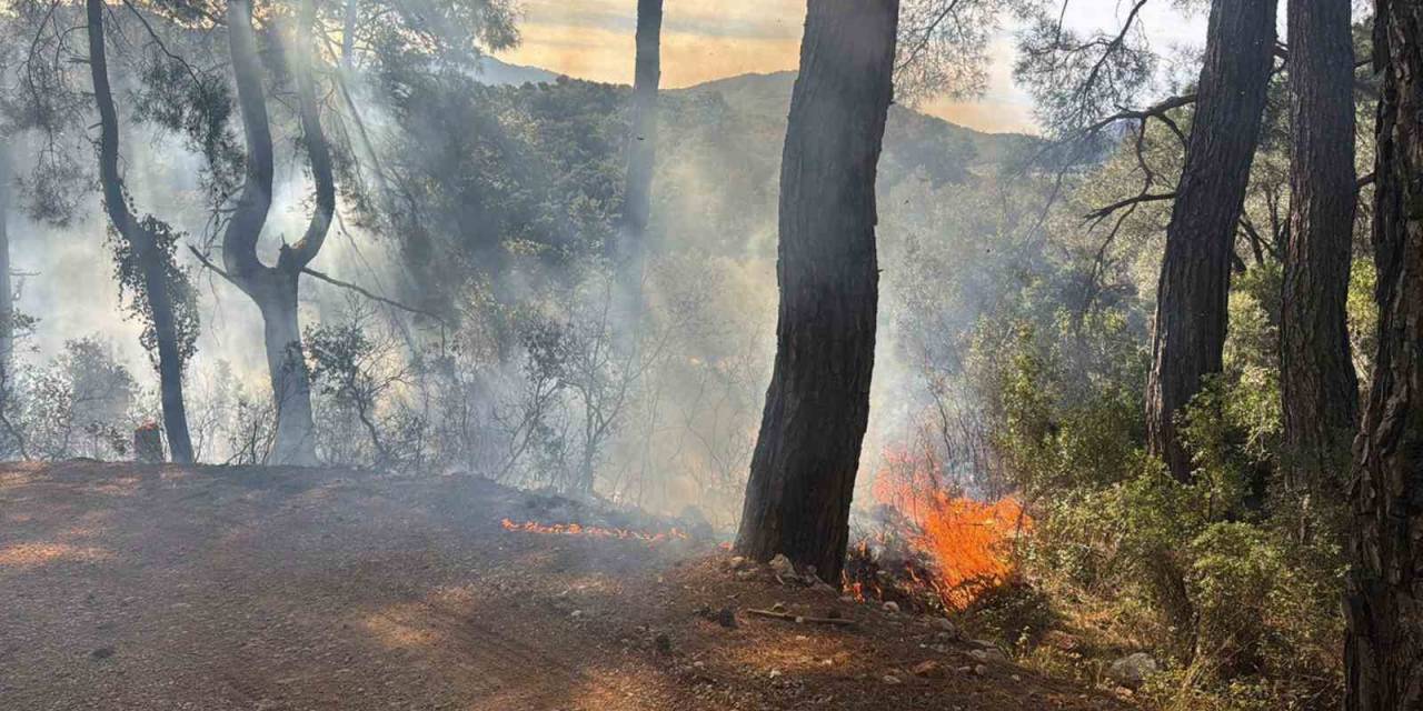 Muğla’da 2025 Yılının İlk Orman Yangını
