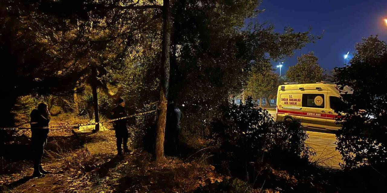 Maltepe’de Şüpheli Ölüm: 33 Yaşındaki Şahıs Yol Kenarında Ölü Bulundu
