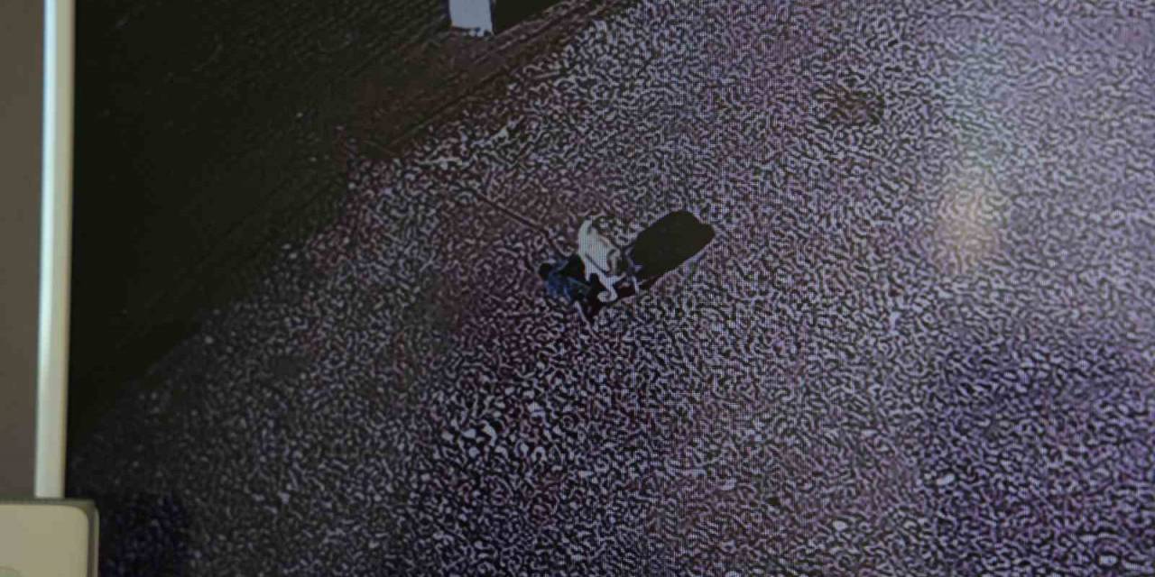 Köpeğin Çocuğa Saldırdığı Anlar Güvenlik Kamerasına Yansıdı