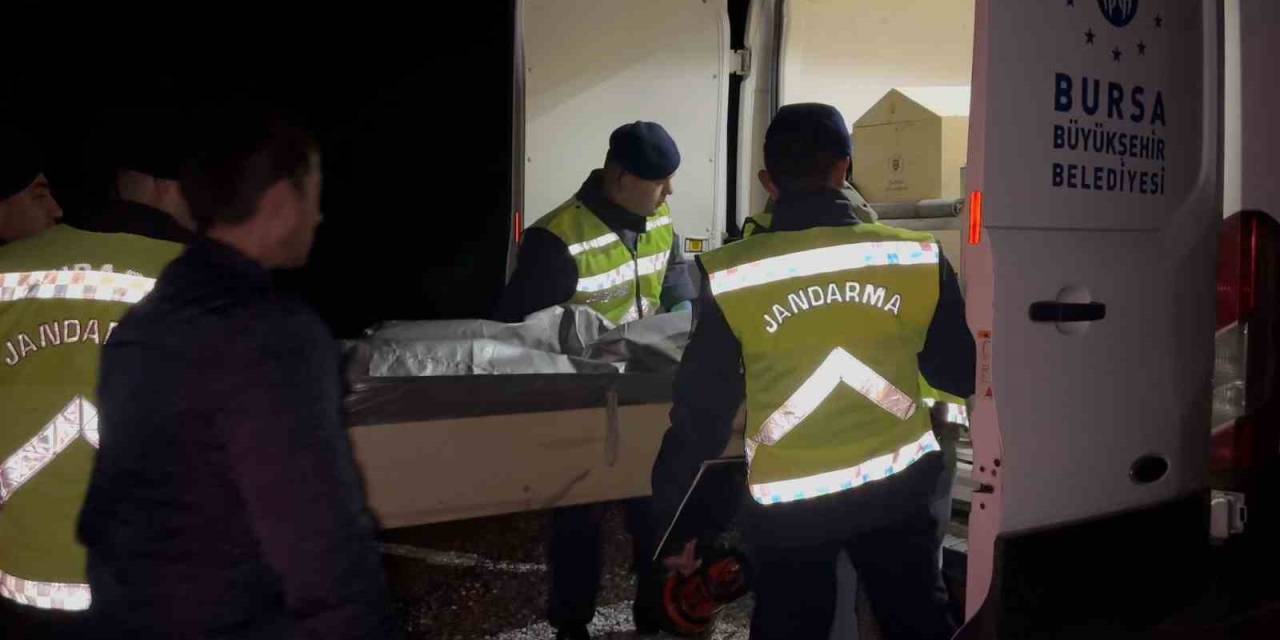 Ormandaki Vahşetin Gizemi Çözüldü