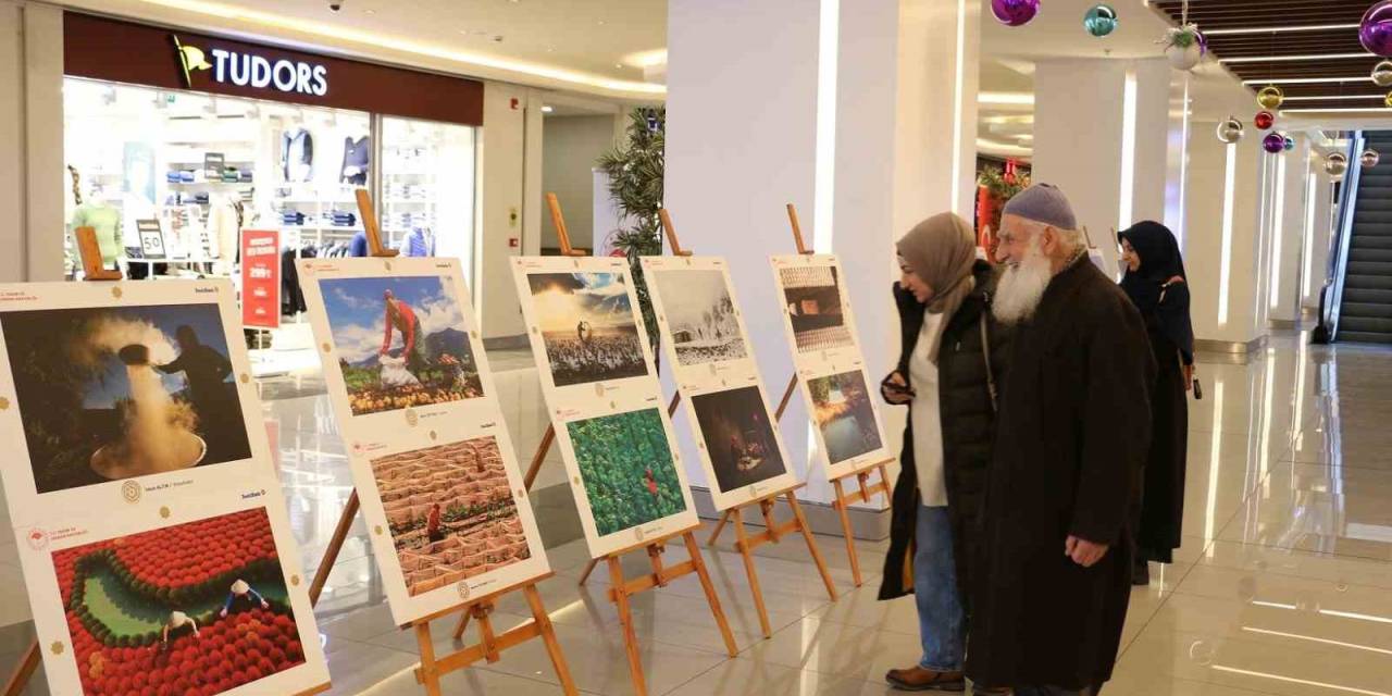 Erzincan’da 14. Uluslararası Tarım, Orman Ve İnsan Fotoğraf Sergisi Açıldı