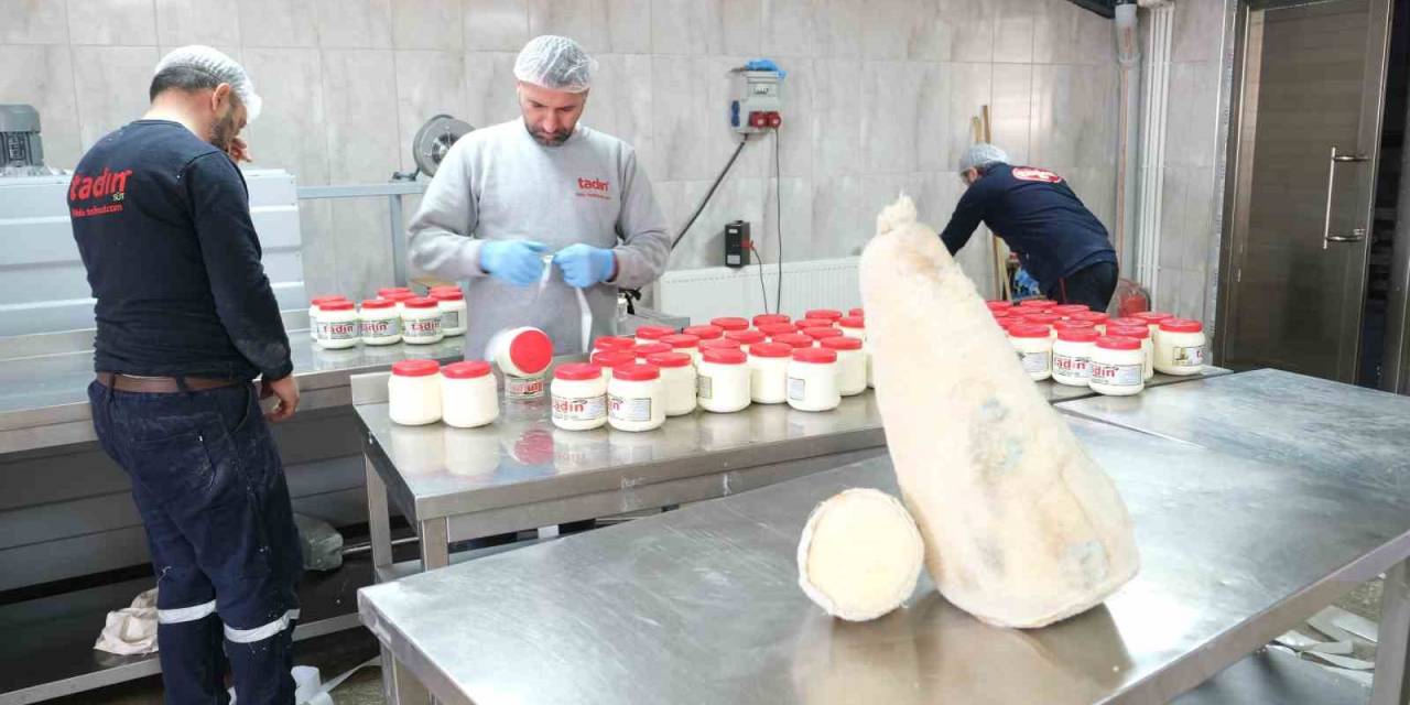 Yayladan Sofraya Erzincan Tulum Peyniri