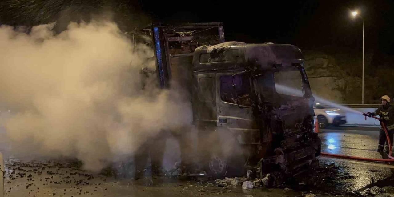 Ukrayna’dan Irak’a Kömür Taşıyan Tır Alev Alev Yandı