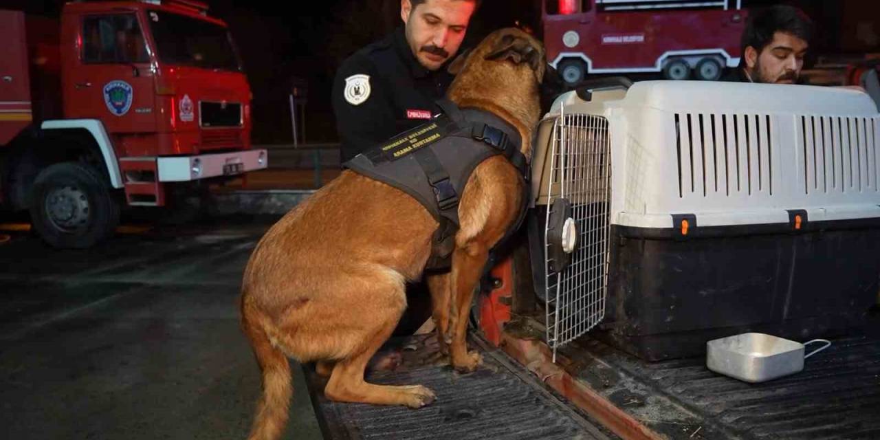 Hassas Burunlu Köpekler Arama-kurtarma Çalışmaları İçin Konya’ya Hareket Etti