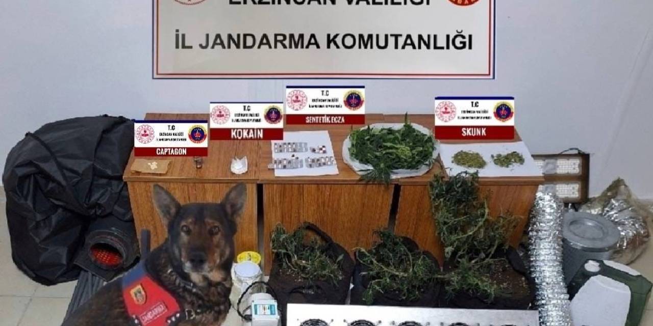 Erzincan’da Jandarma Mıntıkasında 2024 Yılında Meydana Gelen Olayların Yüzde 99’u Aydınlatıldı