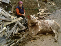 Heyelana Kurban Gitti!